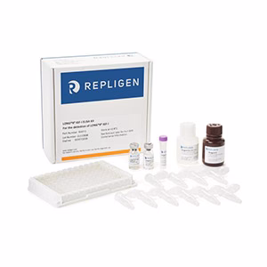 ELISA Kit for the Detection of LONG® R3 IGF-I